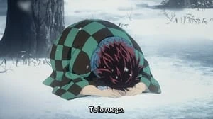 Demon Slayer: Kimetsu no Yaiba