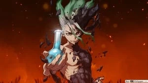 Dr. Stone