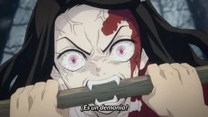 Demon Slayer: Kimetsu no Yaiba